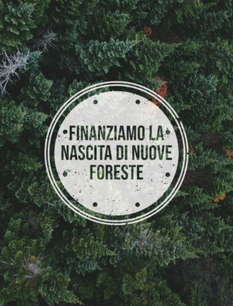 amazon-foreste-it